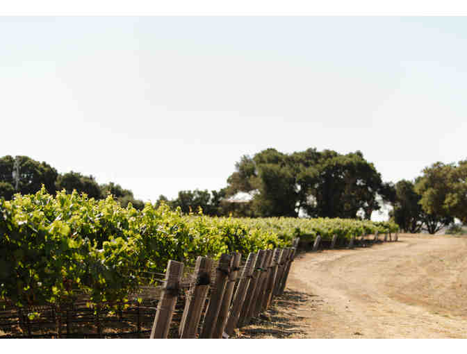 Scheid Family Wines--Seated Reserve Tasting for 4, Picnic Lunch and Gift Bags