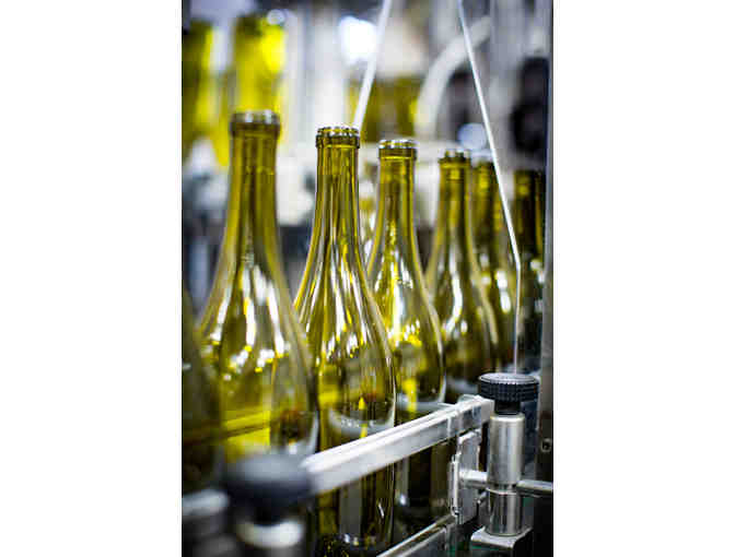 Scheid Family Wines--Seated Reserve Tasting for 4, Picnic Lunch and Gift Bags