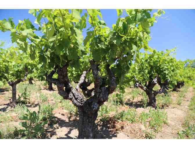 3 Wines and a Private Tasting with Napa Valley History
