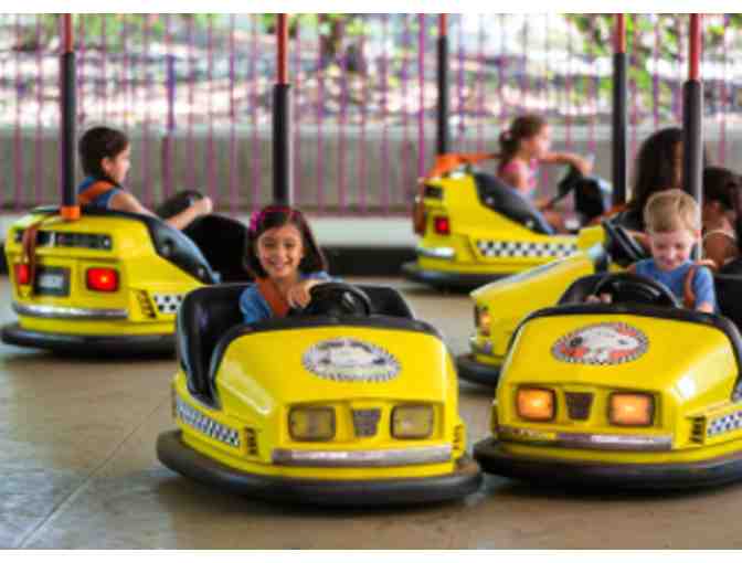 Two Single Day Tickets, Great America