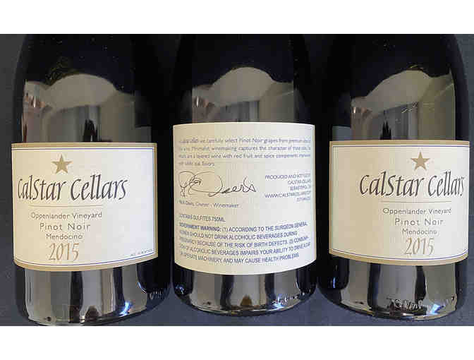 Case of 2015 Oppenlander Pinot Noir, Calstar Cellars