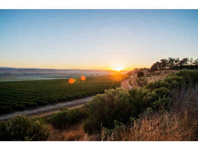 Scheid Family Wines Carmel--Private Reserve Tasting for 6 and wines