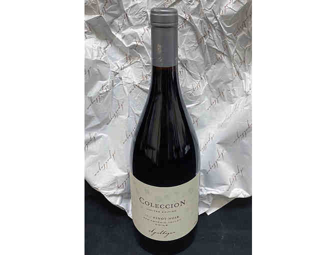 Pinot Noirs from Chile and California