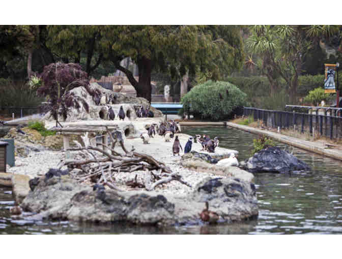 Tickets to the San Francisco Zoo