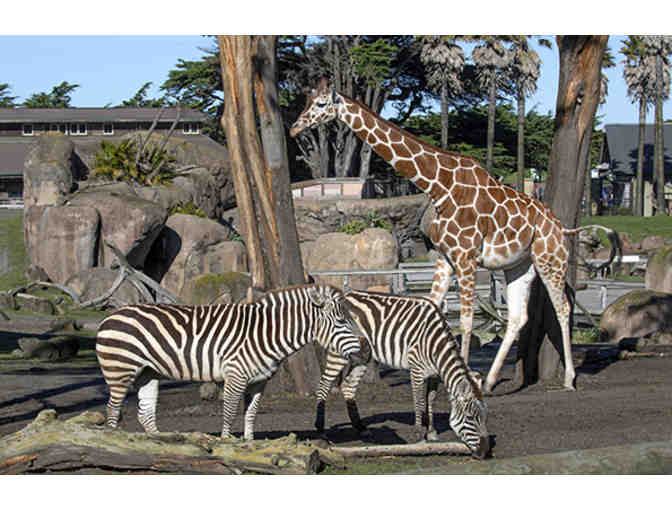 Tickets to the San Francisco Zoo