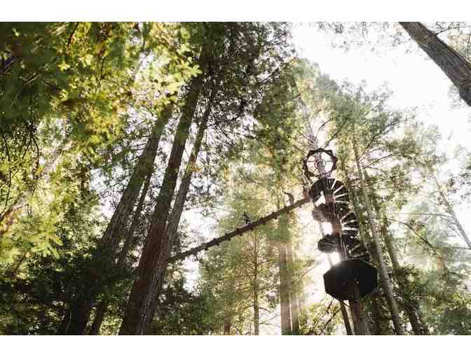 Forest Flight Tour for 2, Sonoma Zipline Adventures