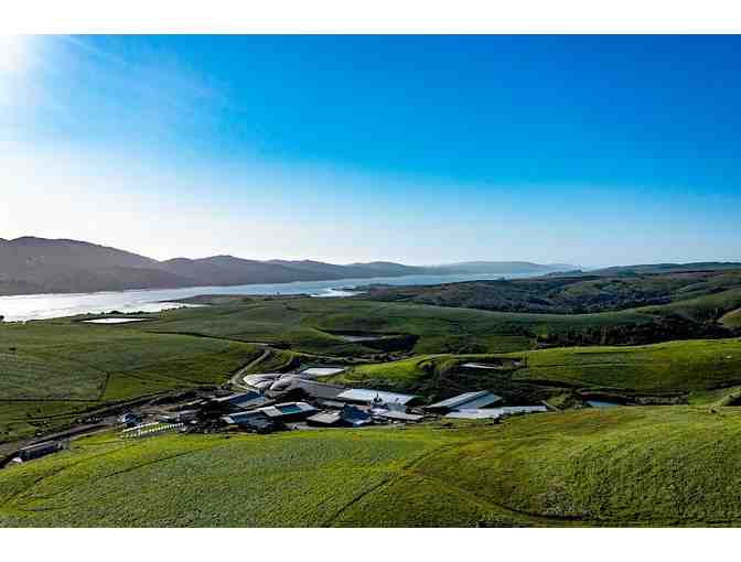 Cheese Lovers Tasting for 2 at Point Reyes Farmstead Cheese