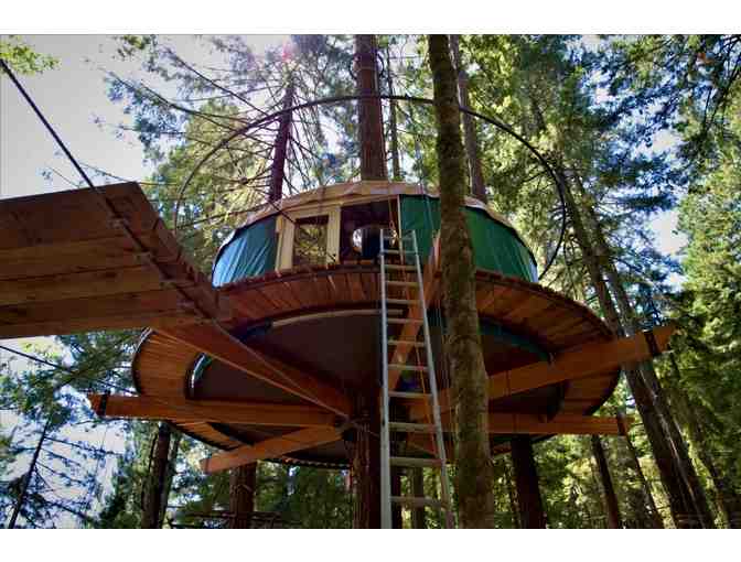 Treehouse Stay and Zipline Adventures for 4