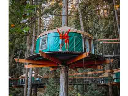 Treehouse Stay and Zipline Adventures for 4