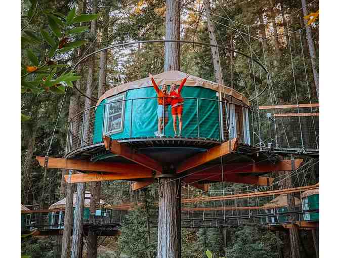 Treehouse Stay and Zipline Adventures for 4