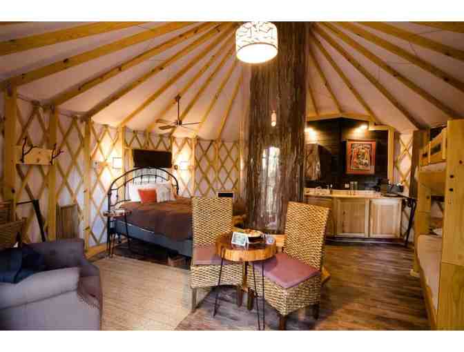 Treehouse Stay and Zipline Adventures for 4