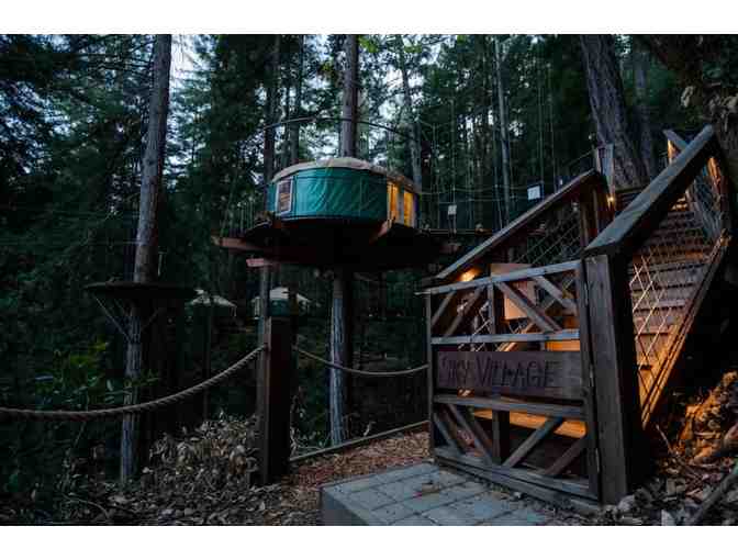 Treehouse Stay and Zipline Adventures for 4
