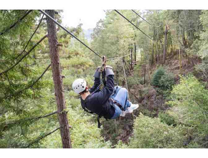 Treehouse Stay and Zipline Adventures for 4