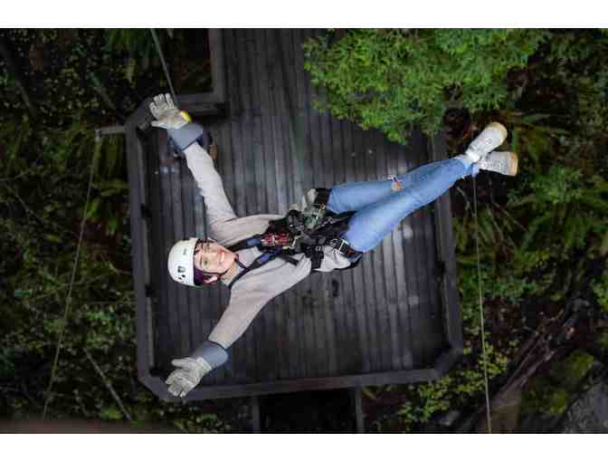 Zipline Adventure for 2 in the Redwoods