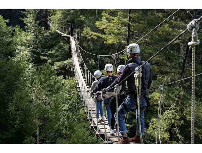 Redwoods Zipline Adventure for 1