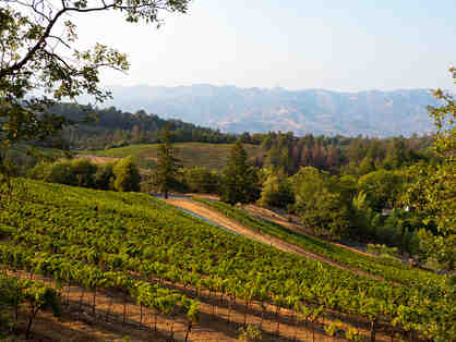 Case of Napa Merlots and Wine Aging Experience for 6 at Paloma Vineyard