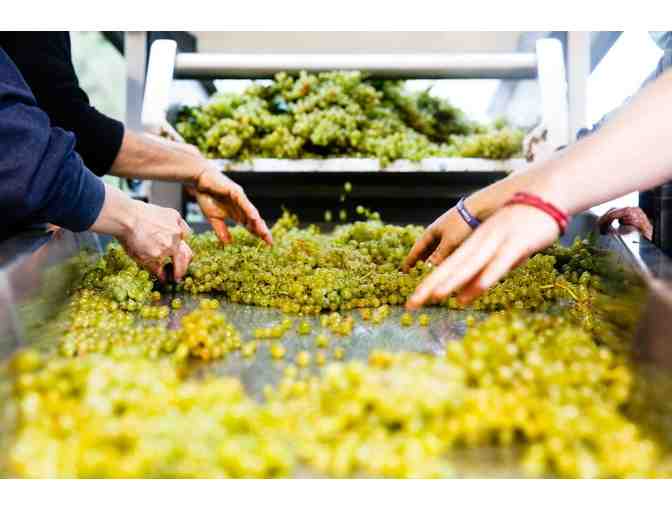 Hanzell Farm & Vineyards Heritage Private Tour & Tasting for 6