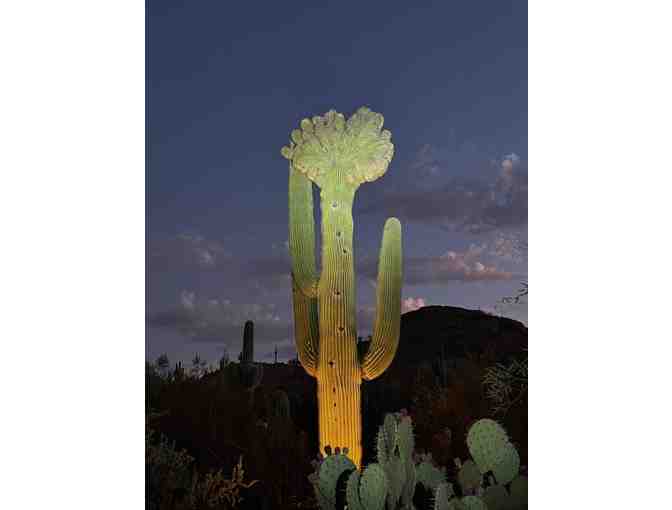 3 Nights for 2 in Beautiful Phoenix, AZ