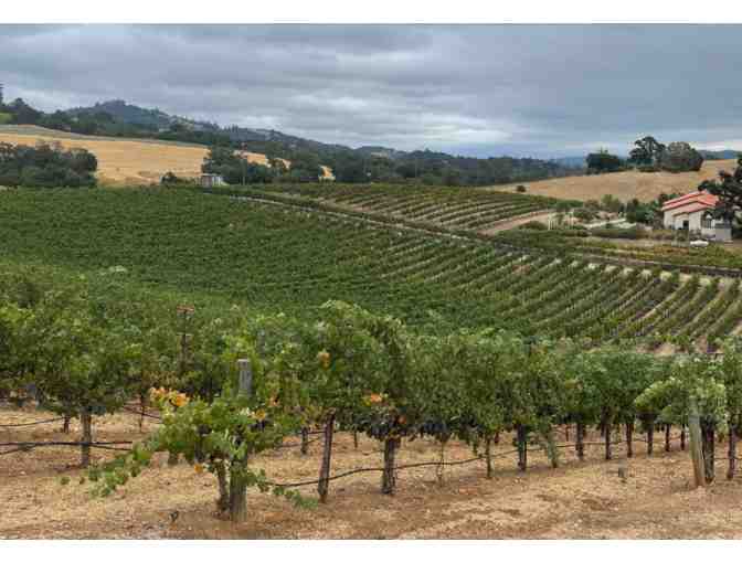 Tour and Tasting for 4, Vertical of William Gordon Wines