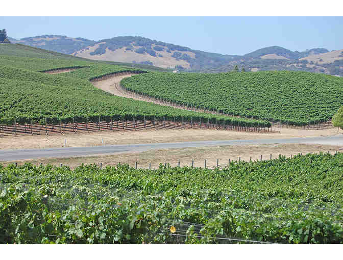 Full Day of Wine Touring - Howling Wine Tours