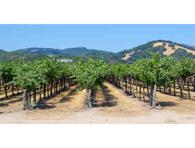 Full Day of Wine Touring - Howling Wine Tours