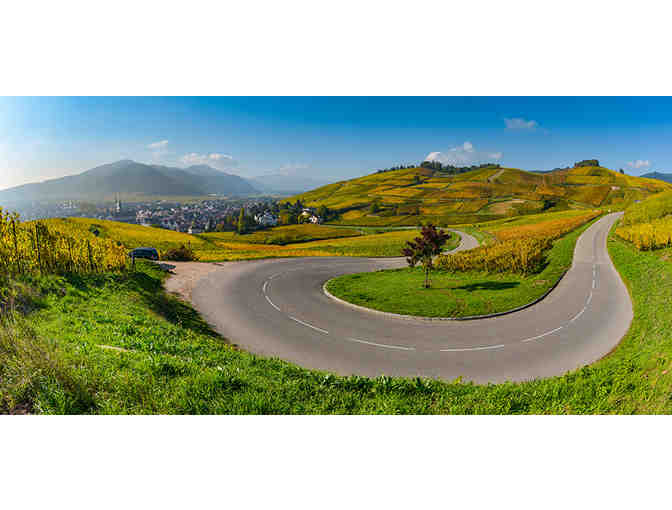 Full Day of Wine Touring - Howling Wine Tours