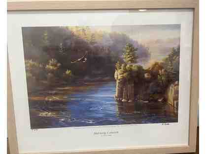 "Morning Concert" Framed Print by Mary Pettis