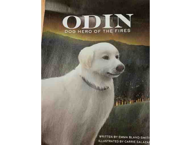 Dog Lover's Collection sourced at Fideaux located in Healdsburg CA:  Toys, Books & Treats