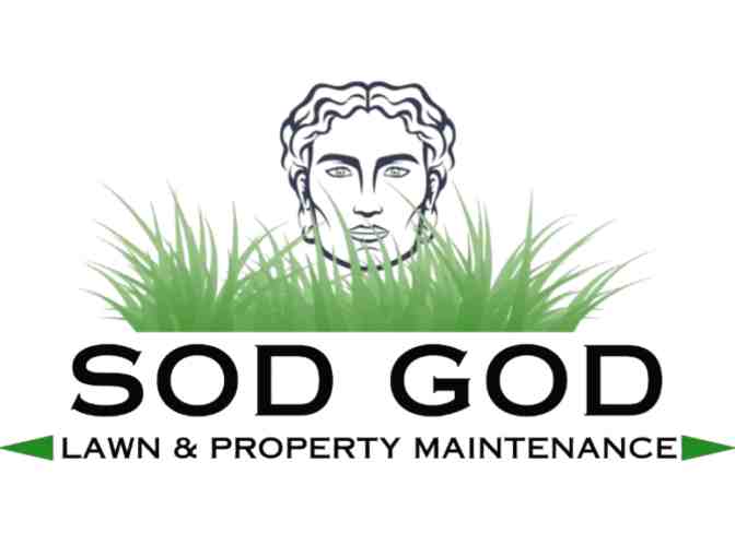 Landscaping Package - Photo 1