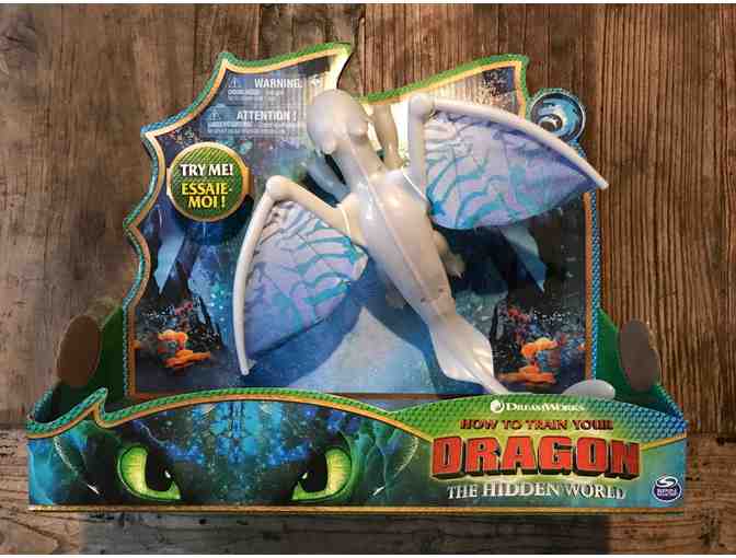 How to Train Your Dragon