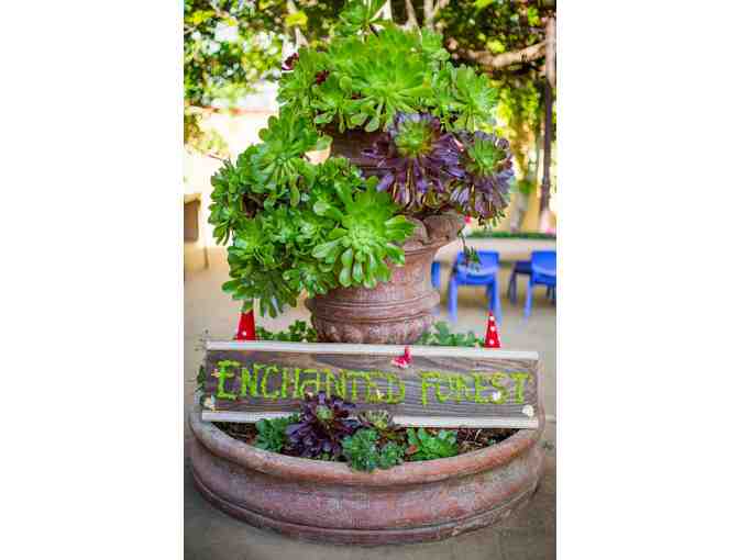 Melissa & Sue Summer Camp