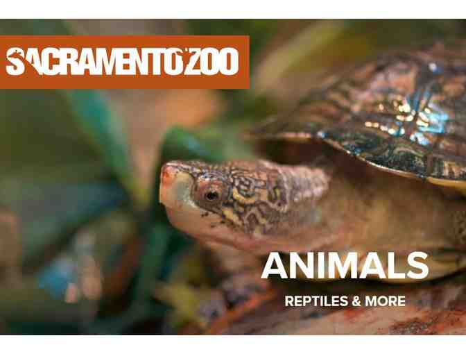 Sacramento Zoo