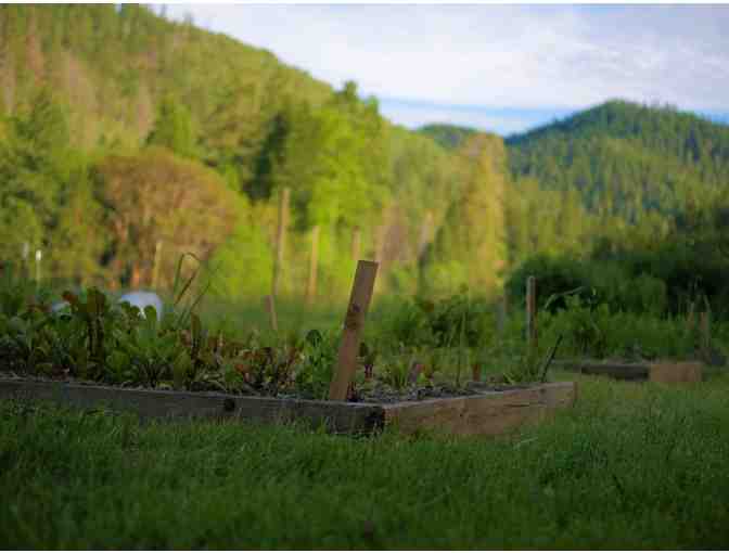 Southern Oregon lodge and cabin 4 night stay