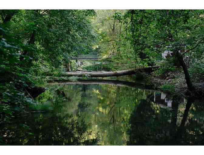 June Waldorf Camping trip - TEEPEE