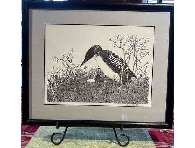 'Loon and Chick' by Gene Matras