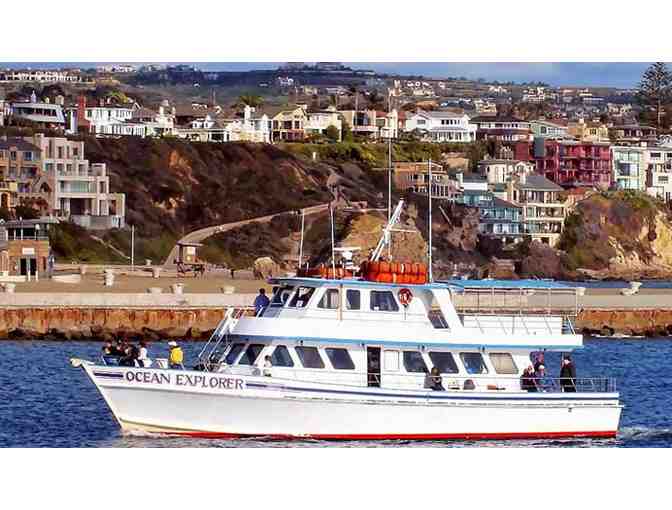 Whale Watching: Two Tickets to a Cruise in Newport Beach