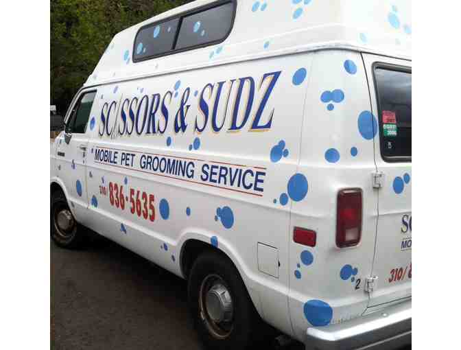 1 Free Dog Grooming at YOUR Location