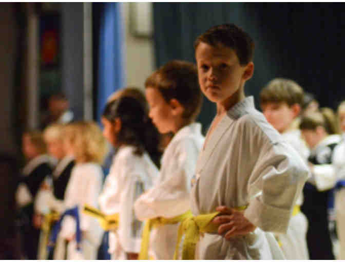 Marina Martial Arts - One month of classes + uniform