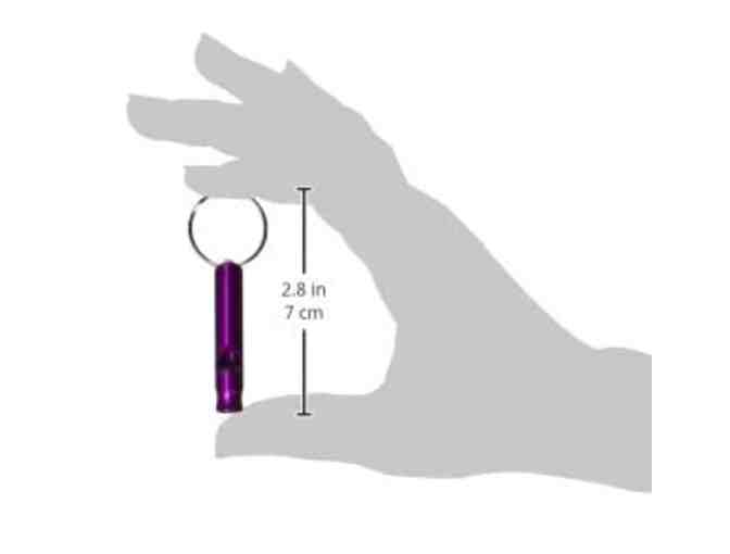 Set of 5 Emergency Whistles w/ Keychains