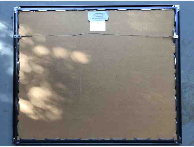 Diesel Passenger Locomotives Framed