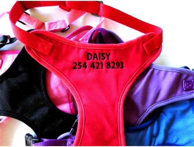 Custom Embroidered Personalized Dog or Cat Collar