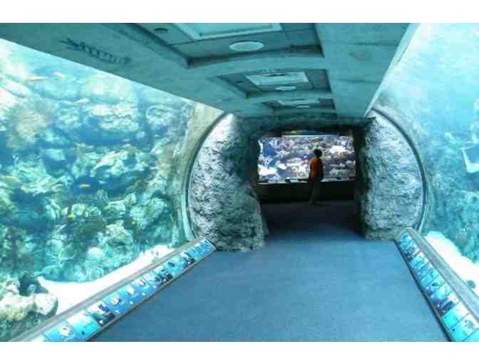 Aquarium of the Pacific: Two general admission tickets