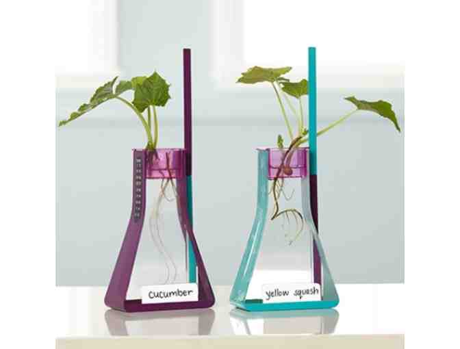 Nancy B's Way to Grow Hydroponics Kit