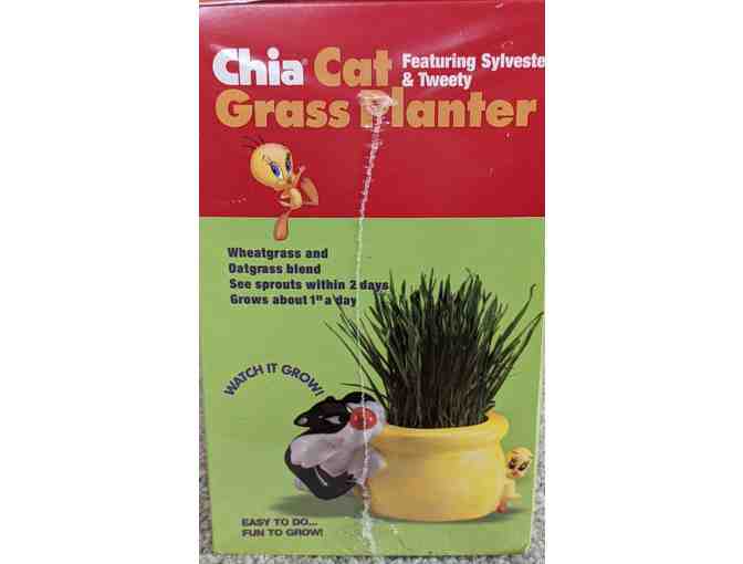 Chia Cat Grass Planter - Sylvester and Tweety