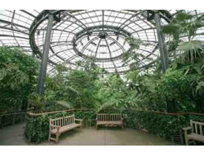 Two passes to the Huntington Library and Gardens (timed entry)