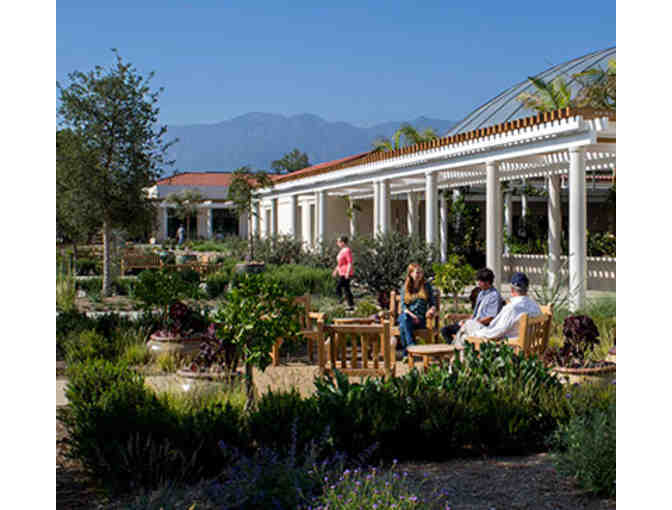 Two passes to the Huntington Library and Gardens (timed entry)