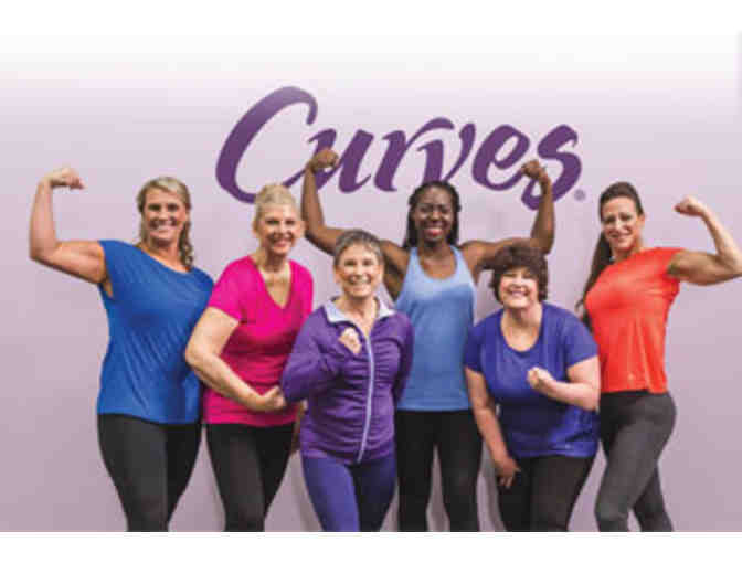 Curves (Two month membership)