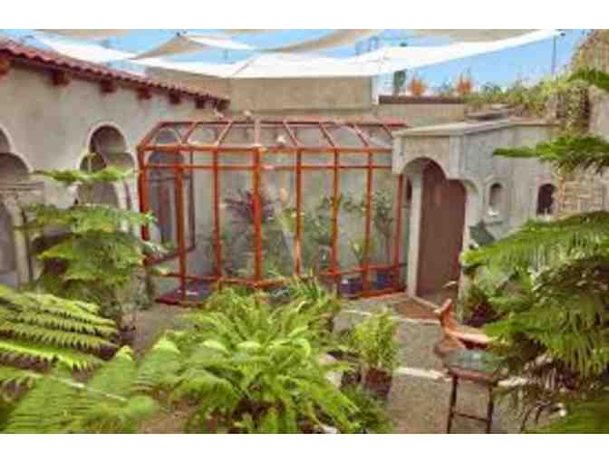 Annual membership to Museum of Jurassic Technology