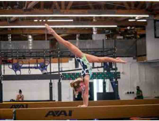 RISE GYM: One week of camp