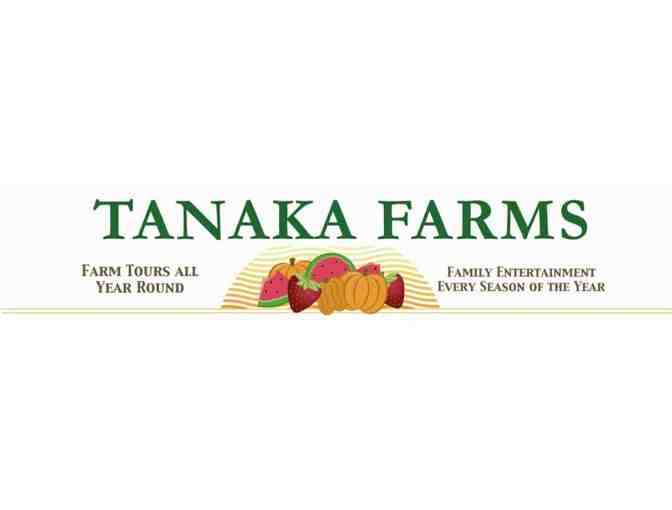 TANAKA FARMS - Seasonal Farm Tour valid for up to $110 - Photo 1
